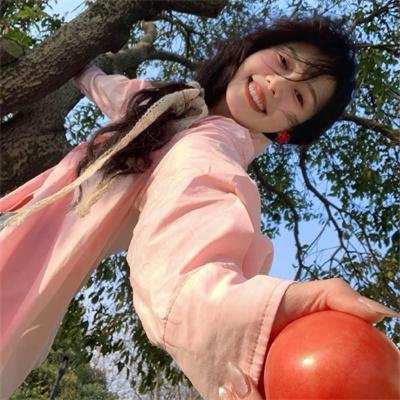 抵挡计划