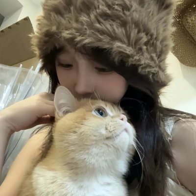 奇迹小雨燕